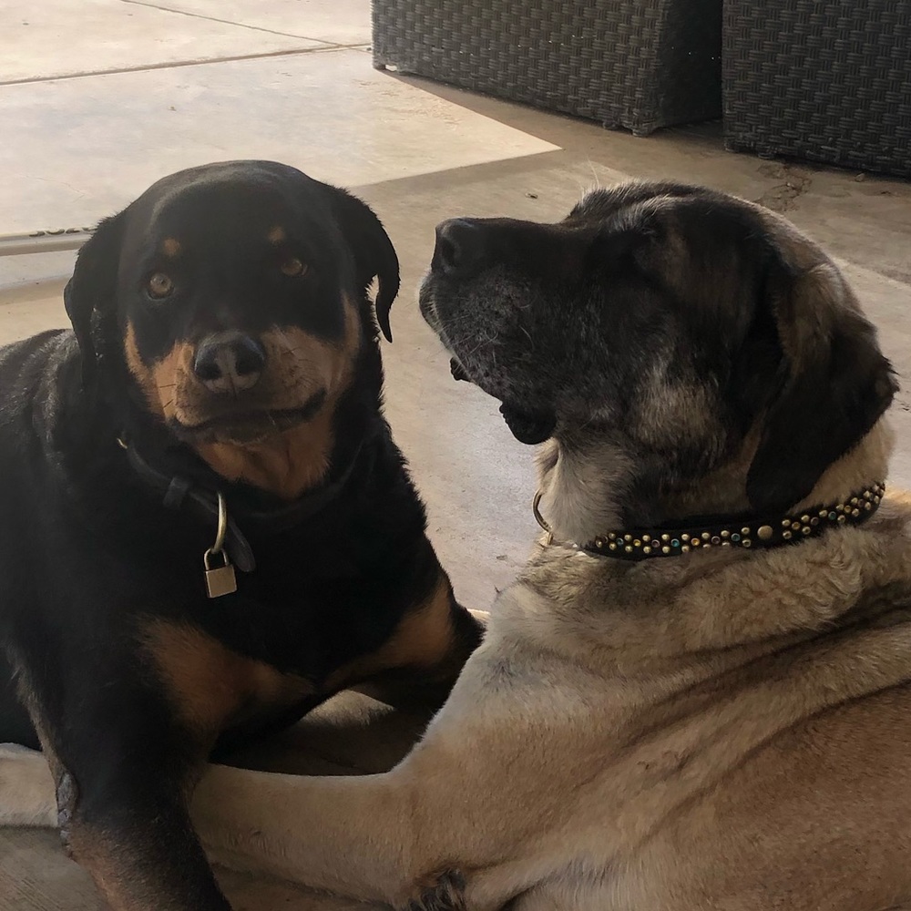 Meet your Posher, Tina